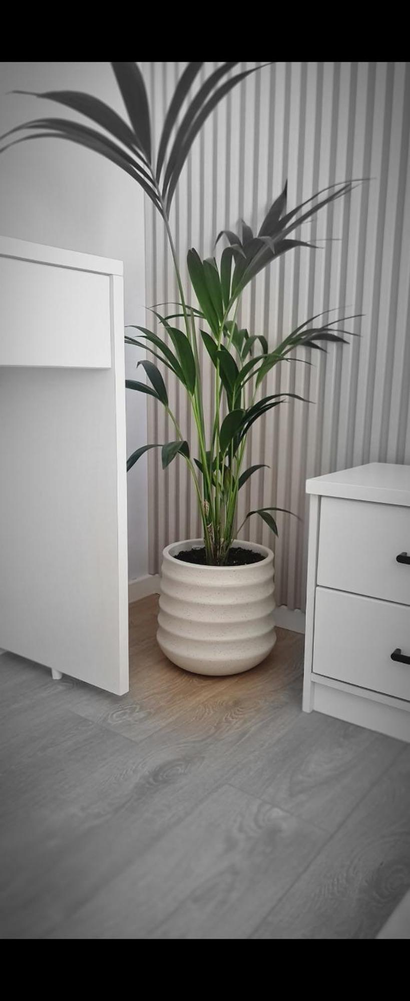 Abla'S Sweet Home Τίρανα Εξωτερικό φωτογραφία